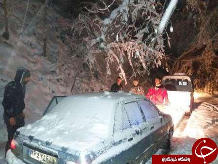 نجات 4 نفر در جنگل پس از 8 ساعت + تصاویر
