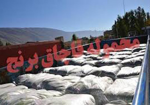 يك ميليارد و 100 ميليون ريال برنج قاچاق به دام پلیس افتاد