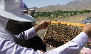 آغاز کوچ زنبورداران اصفهانی به مناطق گرمسیری