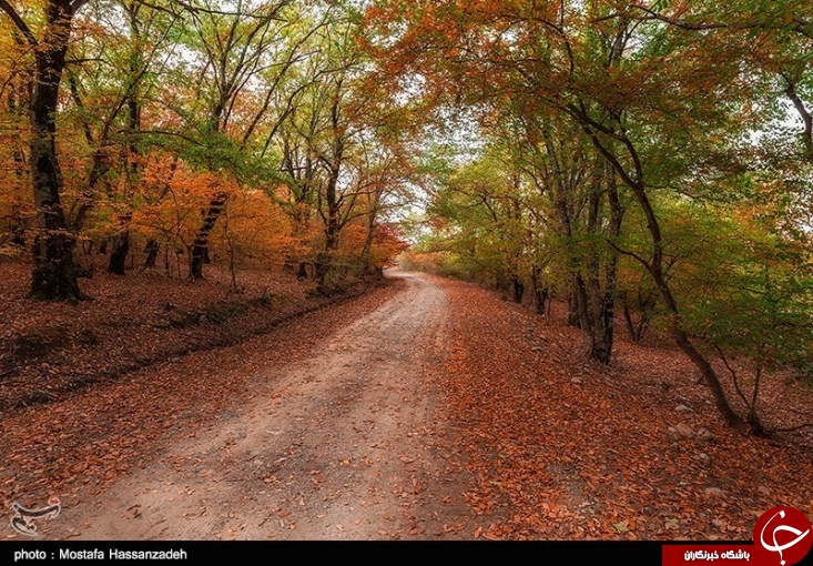 عکس/ پاييزي رويايی را در اين منطقه از ايران تجربه كنيد