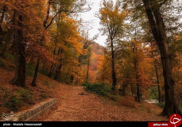 عکس/ پاييزي رويايی را در اين منطقه از ايران تجربه كنيد
