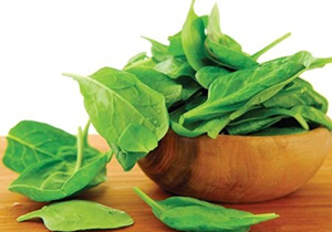 اسفناج موثر در پیشگیری از سرطان
