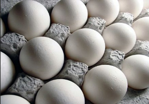 عرضه تخم مرغ کیلویی در مهاباد