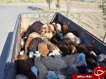 مهمترین حوادث هفته گذشته