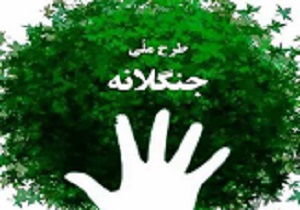 اجرای طرح جنگلانه در 3 شهرستان استان