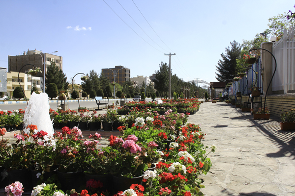 اجرای پروژه توسعه و گسترش شبکه آب خام