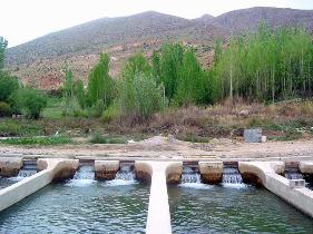 برگزاری نشست علمی با پرورش دهندگان آبزیان بوکان