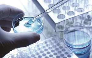 تأسیس انستیتو جامع سلول‌های بنیادی در اهواز