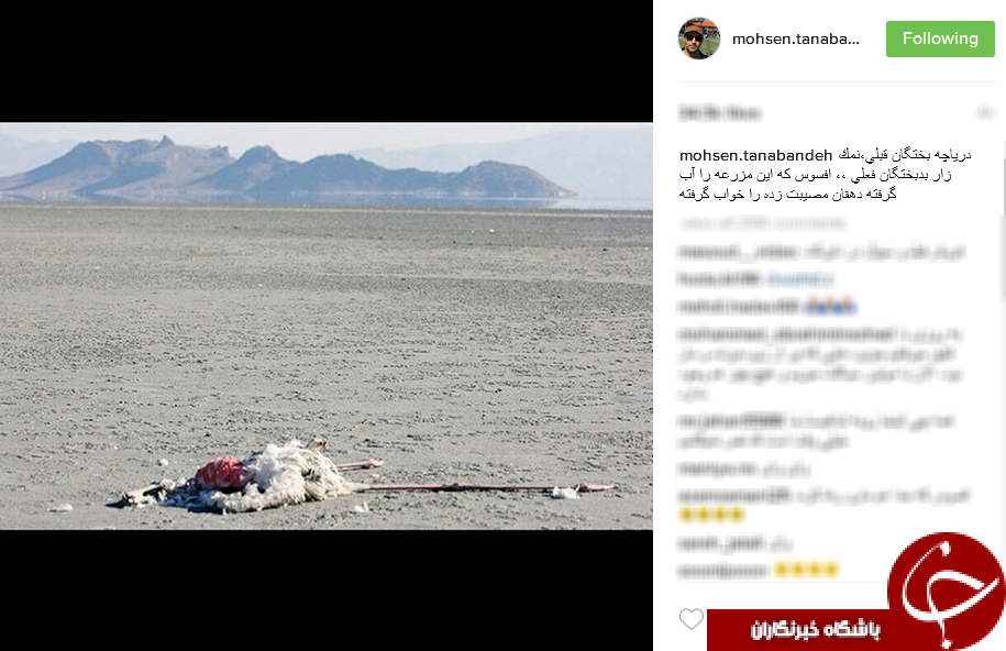 واکنش هنرمندان به خشک شدن دریاچه بختگان+اینستاگرام