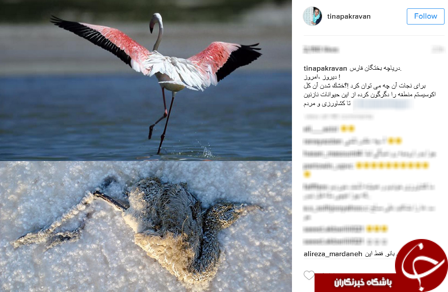 واکنش هنرمندان به خشک شدن دریاچه بختگان+اینستاگرام