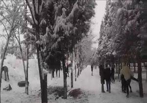 پاسخ کوبنده پراید به منتقدان/رکورد عجیب استاد بزرگ ورزش&zwnj;های رزمی/تبدیل خیابانی در اهواز به دریاچه + فیلم و تصاویر