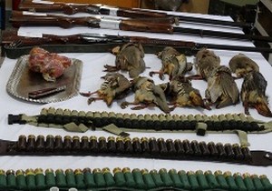 دستگیری شکارچیان غیرمجاز پرندگان