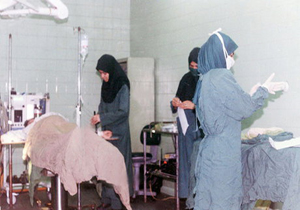 عکس/ دوستی انسان و کفتار
