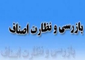 بازرسی از بیش از 4 هزار واحد صنفی