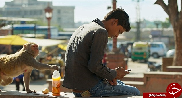 تصاویری زیبا از حیوانات وحشی