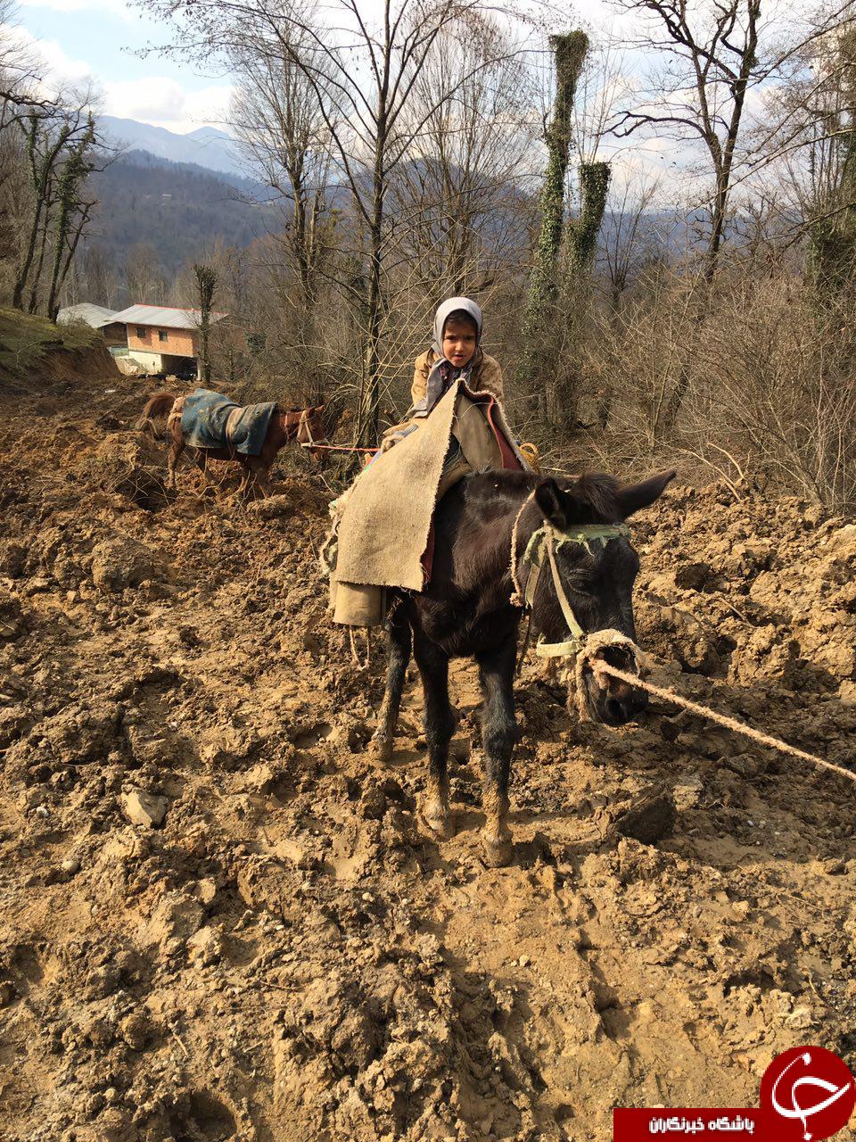 وضعیت اسفناک راه عبوری روستای جلیرود + تصاویر