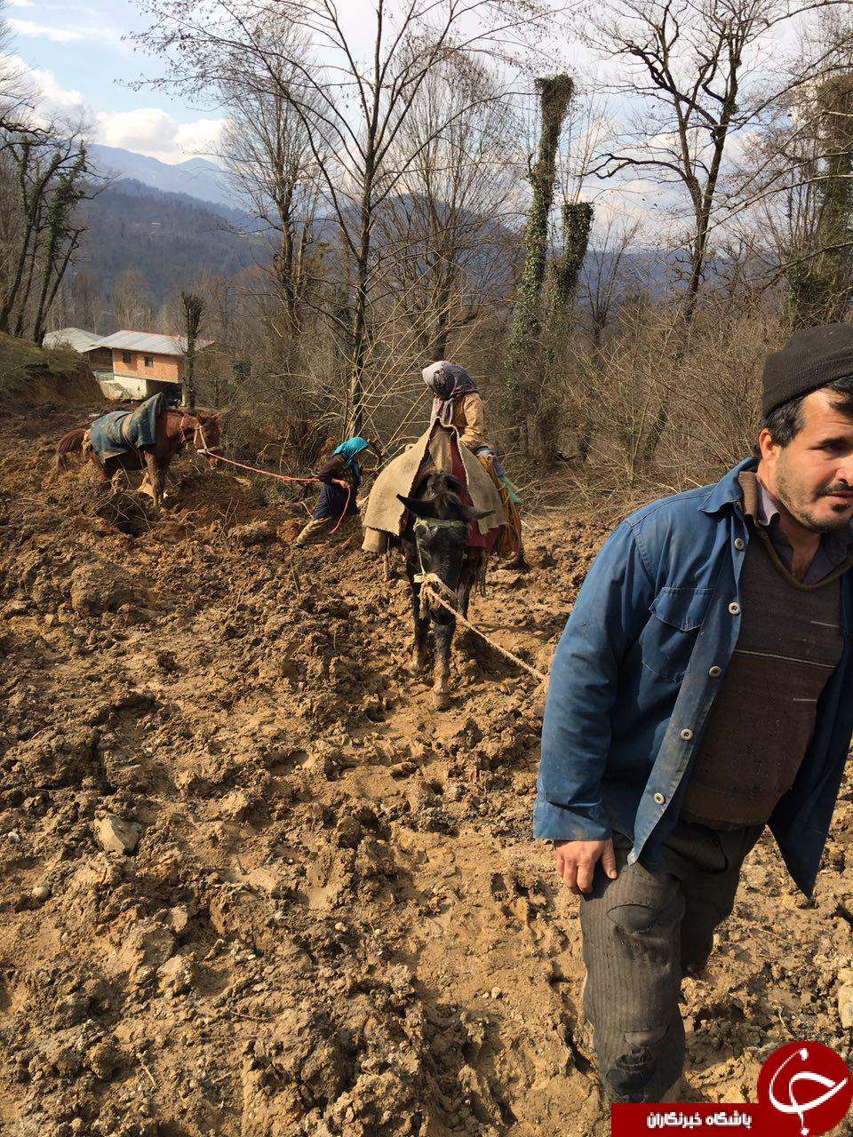 وضعیت اسفناک راه عبوری روستای جلیرود + تصاویر