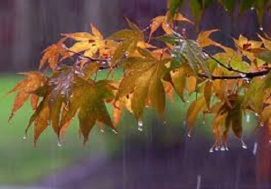 پنج شنبه ای بارانی در انتظارقمی ها