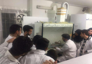 انجام کشت بافت گیاهی برای نخستین بار در گناباد