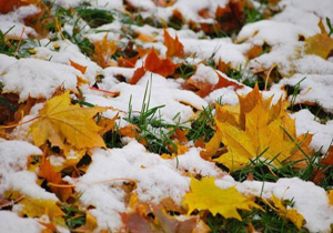 پیش بینی بارش باران و برف برای پایان هفته جاری