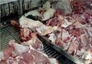 معدوم سازی 115 کیلوگرم گوشت و ضایعات غیربهداشتی