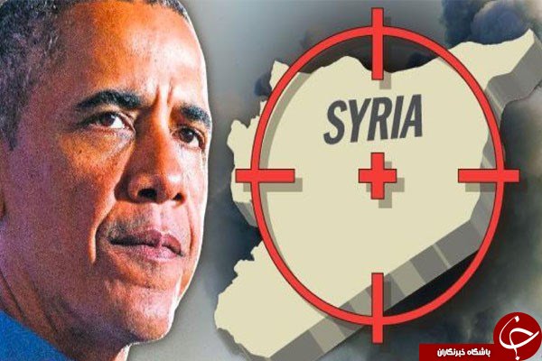 سر افعی در حلب قطع شد سر افعی در حلب قطع شد