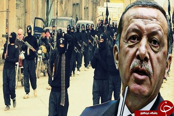 سر افعی در حلب قطع شد سر افعی در حلب قطع شد