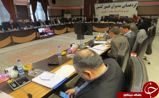 کاهش وزن کشتار مرغ سیاست وزارت جهاد کشاورزی