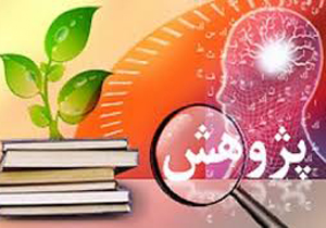 درخشش پژوهشگر میراث فرهنگی فارس در کشور