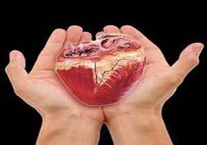 اهدای عضو بیمار مرگ مغزی در یاسوج