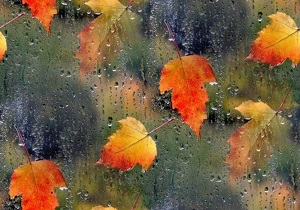 بارندگی و گذر موجي ناپایدار از جو منطقه