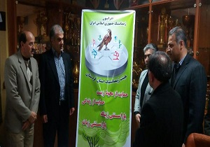 انتخاب شاهین ایرانی به عنوان نمادژیمناستیک کردستان
