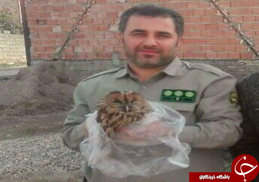 نگاهی گذرا به مهمترین رویدادهای 24 آذر در مازندران