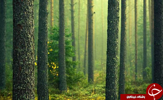 نگاهی گذرا به مهمترین رویدادهای 24 آذر در مازندران