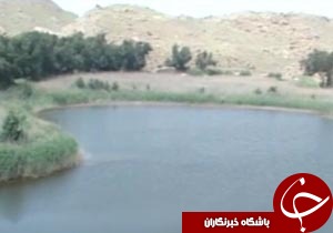 نابودی تالاب&zwnj;های لرستان به خاطر دخالت&zwnj;های انسانی + فیلم