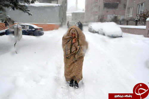 از انتقال خرس قهوه&zwnj;ای به باغ&zwnj;وحش تا مرد آهنی در هنگ&zwnj;کنگ