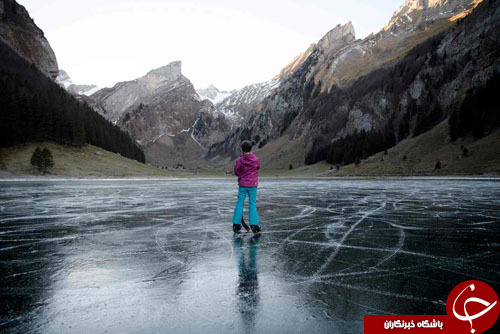 از انتقال خرس قهوه&zwnj;ای به باغ&zwnj;وحش تا مرد آهنی در هنگ&zwnj;کنگ