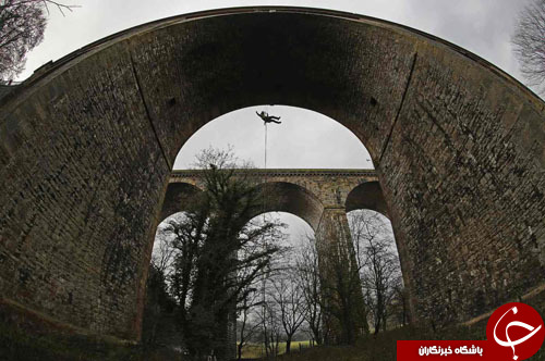 از انتقال خرس قهوه&zwnj;ای به باغ&zwnj;وحش تا مرد آهنی در هنگ&zwnj;کنگ