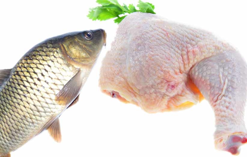 از افزایش نیافتن قیمت هندوانه تا بررسی هزینه خرید مرغ و ماهی شب یلدا 95
