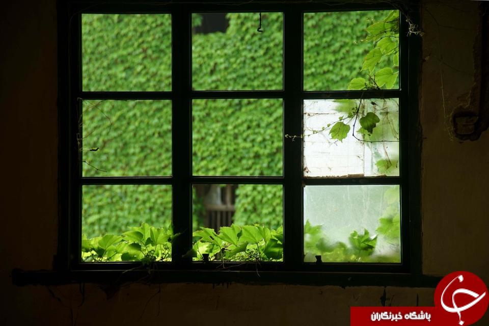 تصاویری خیره کننده از یکی سرسبزترین روستاهای جهان