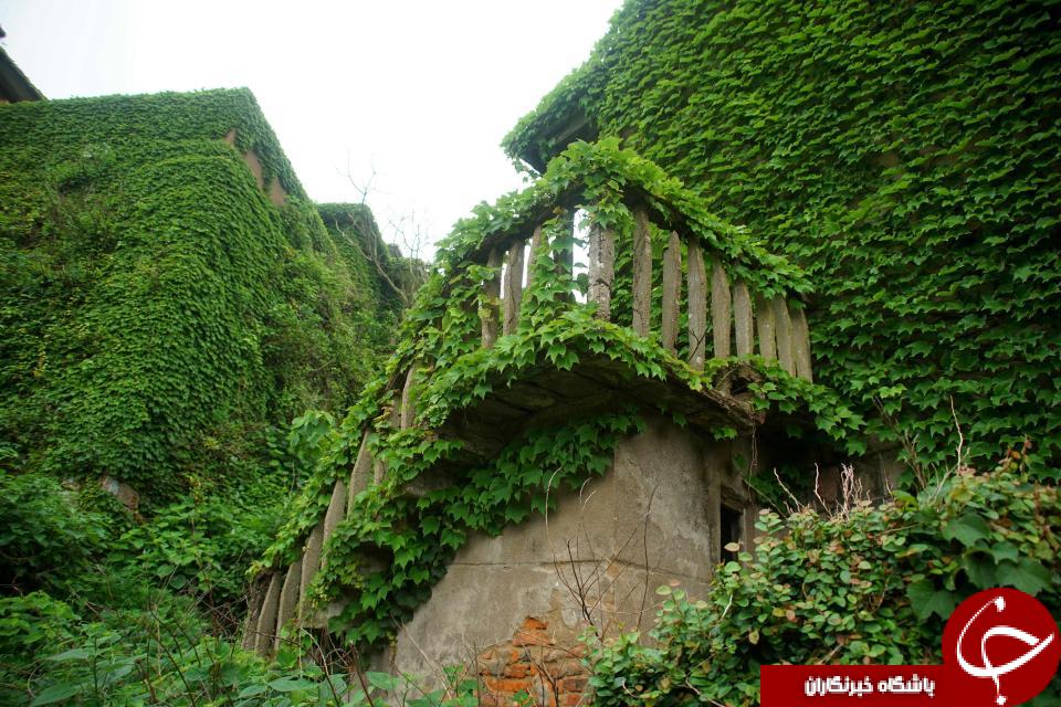 تصاویری خیره کننده از یکی سرسبزترین روستاهای جهان