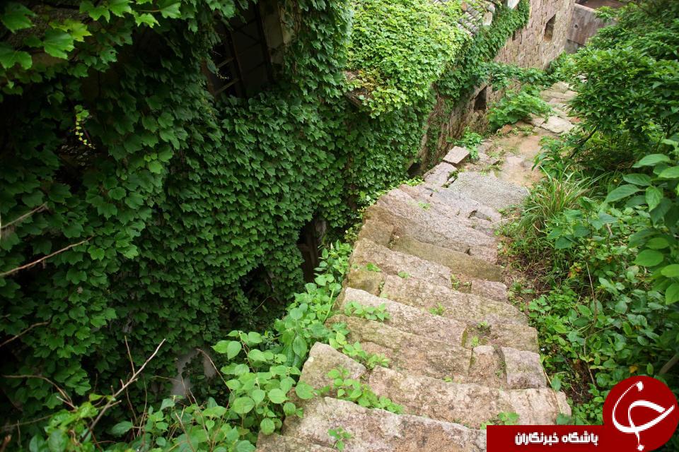تصاویری خیره کننده از یکی سرسبزترین روستاهای جهان