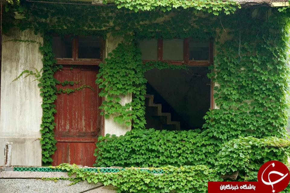 تصاویری خیره کننده از یکی سرسبزترین روستاهای جهان