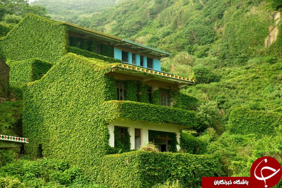 تصاویری خیره کننده از یکی سرسبزترین روستاهای جهان