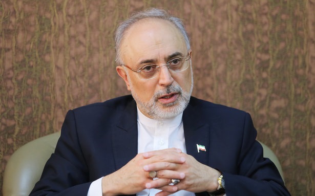 همان اول گفتم آمریکا دبه در می آورد/ از رییس جمهور دلگیر شده بودم