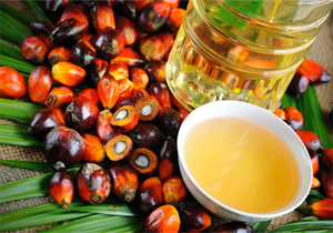 واردات روغن پالم تنها با اخذ مجوز استاندارد