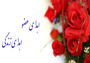 اهدای عضو، اهدای زندگی