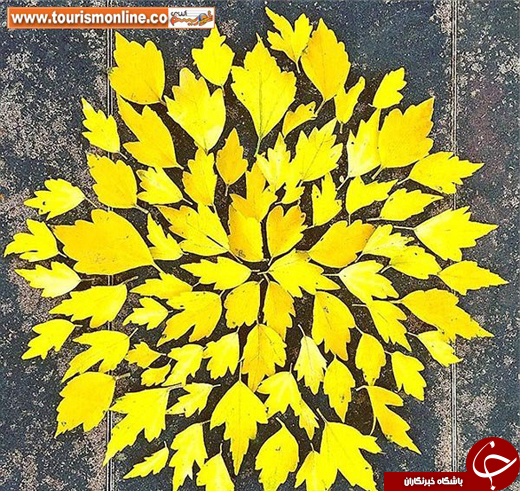 عکس/ چالش نقاشی با برگ&zwnj;های پاییزی در ژاپن