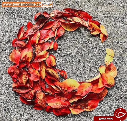 عکس/ چالش نقاشی با برگ&zwnj;های پاییزی در ژاپن