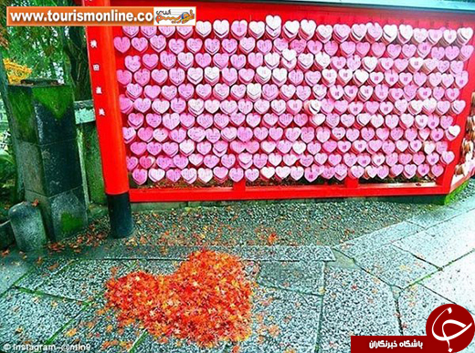 عکس/ چالش نقاشی با برگ&zwnj;های پاییزی در ژاپن
